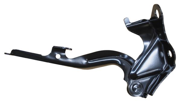 Bisagra Cofre Tacoma 2005-2011 Derecho