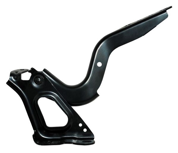 Bisagra Cofre Rav4 2019-2021