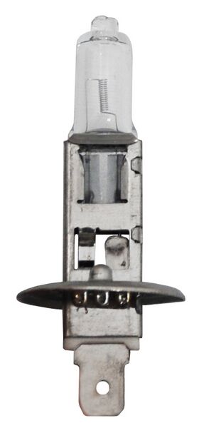 Bulbo Halogeno H1 12V 55W