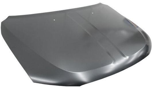 Cofre Durango 2011-2020 Metal