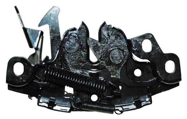 Chapa Cofre Maxima 2009-2015 336